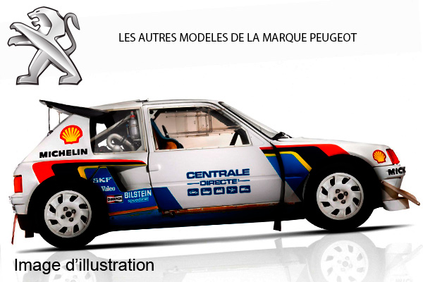 Code peinture Peugeot 206CC